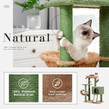Load image into Gallery viewer, Cactus Cat Scratching Tree With Soft Hammock