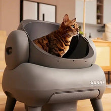 Load image into Gallery viewer, Hifuzzypet Self-Cleaning Cat Litter Box