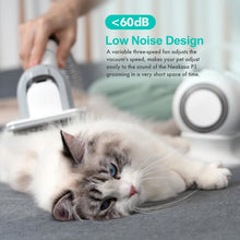 Load image into Gallery viewer, HiFuzzyPet Pet Grooming Vacuum Cleaner