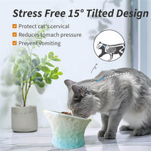 Load image into Gallery viewer, Cute Fish Shape Ceramic Raised Cat Bowls
