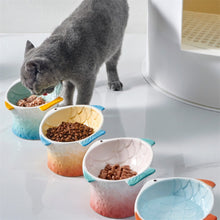 Load image into Gallery viewer, Cute Fish Shape Ceramic Raised Cat Bowls