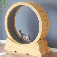 Load image into Gallery viewer, Hifuzzypet Cat Exercise Wheel With Lock Cat Treadmill