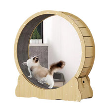 Load image into Gallery viewer, Hifuzzypet Cat Exercise Wheel With Lock Cat Treadmill