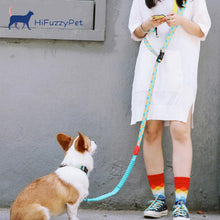 Load image into Gallery viewer, HiFuzzyPet Multifunctional 3 in 1 Hands Free Dog Leashes