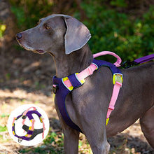 Load image into Gallery viewer, HiFuzzyPet Adjustable No Pull Dog Vest Harness