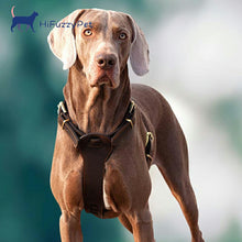 Load image into Gallery viewer, HiFuzzyPet Leather Dog Harness and Leash Set