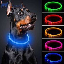 Load image into Gallery viewer, HiFuzzyPet Light Up Dog Collar for Night Walking