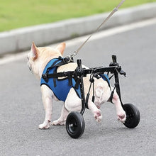 Load image into Gallery viewer, HiFuzzyPet Disabled Dog Wheelchair For Small Pet
