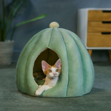 Load image into Gallery viewer, HiFuzzyPet Cactus Shaped Cat Cave Bed