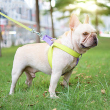 Load image into Gallery viewer, HiFuzzyPet Adjustable Nylon No Pull Dog Harness & Leash