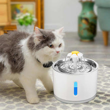 Load image into Gallery viewer, HiFuzzyPet Automatic Cat Water Fountain