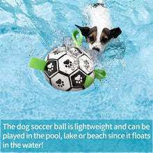 Load image into Gallery viewer, HiFuzzyPet Dog football toy interactive relieves boredom