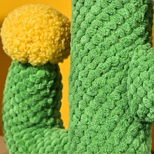 Load image into Gallery viewer, HiFuzzyPet Detachable Cactus Cat Scratch Post