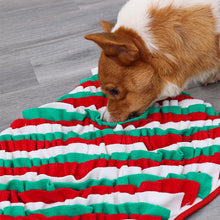 Load image into Gallery viewer, HiFuzzyPet Dog Snuffle Mat Set Interactive Feed Game