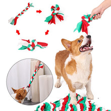 Load image into Gallery viewer, HiFuzzyPet Dog Snuffle Mat Set Interactive Feed Game