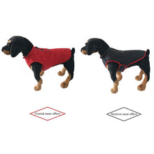 Load image into Gallery viewer, HiFuzzyPet Reversible Dog Winter Jacket