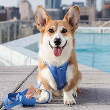 Load image into Gallery viewer, moonlight blue dog vest harnesses