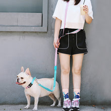 Load image into Gallery viewer, HiFuzzyPet Multifunctional 3 in 1 Hands Free Dog Leashes