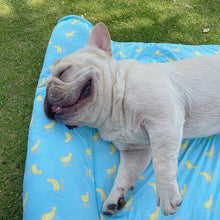 Load image into Gallery viewer, HiFuzzyPet Washable Cooling Dog Bed with Pillow