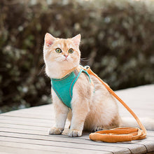 Load image into Gallery viewer, HiFuzzyPet Escape-proof Cat Harness and Leash for Walking