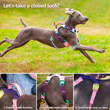 Load image into Gallery viewer, HiFuzzyPet Adjustable No Pull Dog Vest Harness