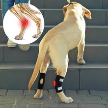 Load image into Gallery viewer, dog rear leg hock brace