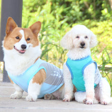 Load image into Gallery viewer, blue dog cooling vest