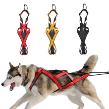 Load image into Gallery viewer, strong & durable dog sledding harness