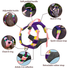 Load image into Gallery viewer, HiFuzzyPet Adjustable No Pull Dog Vest Harness