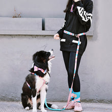 Load image into Gallery viewer, HiFuzzyPet Multifunctional 3 in 1 Hands Free Dog Leashes