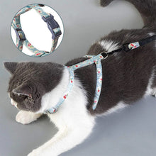 Load image into Gallery viewer, HiFuzzyPet Soft Adjustable Cat Harness and Leash Set