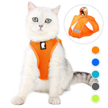 Load image into Gallery viewer, HiFuzzyPet Air Mesh Cat Harness and Leash Set