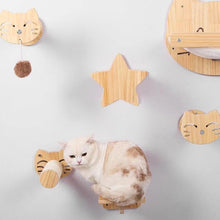 Load image into Gallery viewer, HiFuzzyPet Wall Mounted Cat Shelf for Playing, Climbing