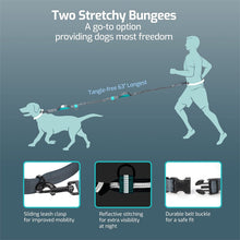 Load image into Gallery viewer, HiFuzzyPet Hands Free Dog Leash Set For Running