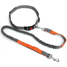 Load image into Gallery viewer, HiFuzzyPet Hands-Free Dog Leash for Training, Walking, Jogging and Running Your Pet