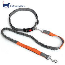 Load image into Gallery viewer, HiFuzzyPet Hands-Free Dog Leash for Training, Walking, Jogging and Running Your Pet