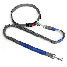Load image into Gallery viewer, HiFuzzyPet Hands-Free Dog Leash for Training, Walking, Jogging and Running Your Pet