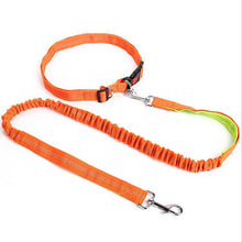 Load image into Gallery viewer, HiFuzzyPet Hands-Free Dog Leash for Training, Walking, Jogging and Running Your Pet