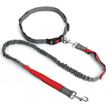 Load image into Gallery viewer, HiFuzzyPet Hands-Free Dog Leash for Training, Walking, Jogging and Running Your Pet