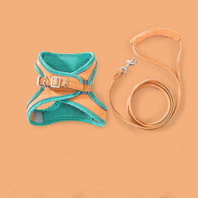 Load image into Gallery viewer, HiFuzzyPet Escape-proof Cat Harness and Leash for Walking