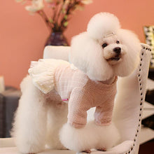 Load image into Gallery viewer, HiFuzzyPet Fashion Cute Pet Dress for Dogs & Cats
