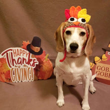 Load image into Gallery viewer, brown halloween dog hat