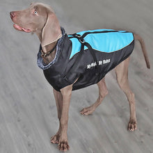 Load image into Gallery viewer, dog coat jacket with hidden zipper guard