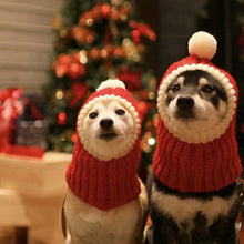 Load image into Gallery viewer, HiFuzzyPet Warm Dog Hat for Winter