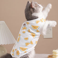 Load image into Gallery viewer, watermelon cat recovery suit