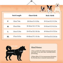 Load image into Gallery viewer, HiFuzzyPet Bright Color Dog Life Jacket Pet Floatation Vest