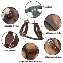 Load image into Gallery viewer, HiFuzzyPet Leather Dog Harness and Leash Set