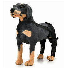 Load image into Gallery viewer, HiFuzzyPet Adjustable Rear Dog Leg Brace