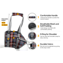 Load image into Gallery viewer, HiFuzzyPet Dog Lift Harness with Handle, Pet Recovery Sling