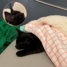 Load image into Gallery viewer, pink super soft cat blanket